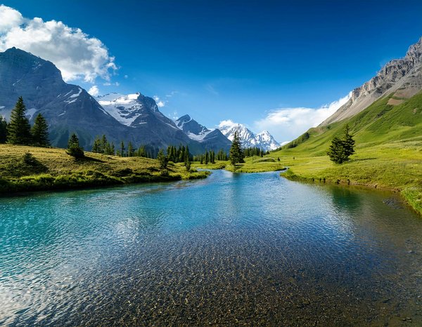 Explorez les Étoiles Créatives du Festival d'Avignon : Une Plongée dans le Talent Artisanal.