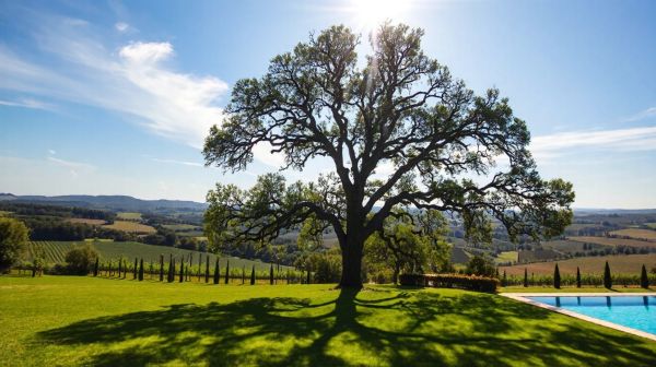 Découvrez pourquoi choisir un camping 4 étoiles en France